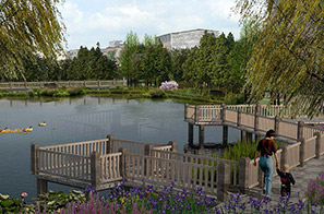 大嶺山鎮楊屋村美麗幸福村居建設行動計劃方案